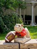 UGA "Bull Dog" College Mascot By Henri Studio.